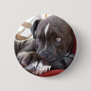 Badge Rond 5 Cm Chiots Editable de Pitbull de bébé