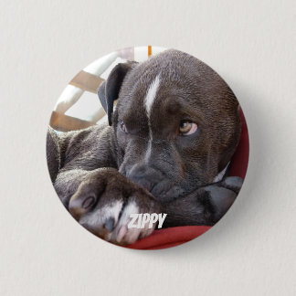 Badge Rond 5 Cm Chiots Editable de Pitbull de bébé