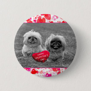 Badge Rond 5 Cm Chiots Pekingese souhaitant Heureuse Sainte-Valent