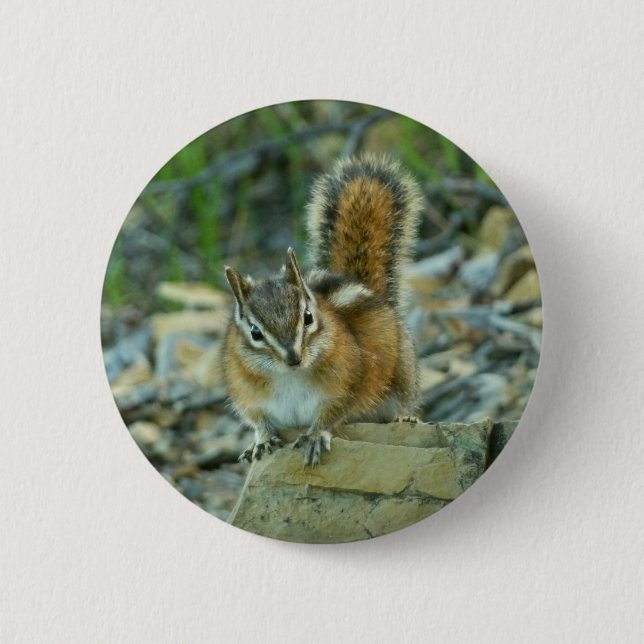 Badge Rond 5 Cm Chipmunk dans le parc national des Glaciers (Devant)