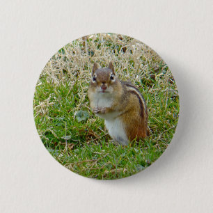 Badge Rond 5 Cm Chipmunk oriental