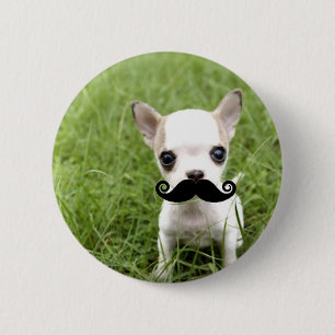 Badge Rond 5 Cm Chiwawa avec la moustache drôle dans le jardin