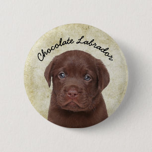 Badge Rond 5 Cm Chocolat Labrador