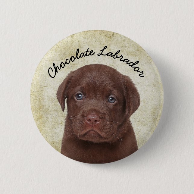 Badge Rond 5 Cm Chocolat Labrador (Devant)