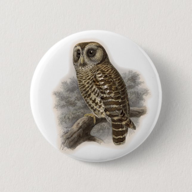 Badge Rond 5 Cm Chouette Brown (Devant)