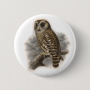 Badge Rond 5 Cm Chouette Brown