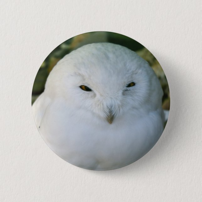 Badge Rond 5 Cm Chouette des neiges (Devant)