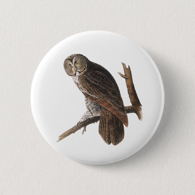 Badge Rond 5 Cm Chouette grise (Devant)