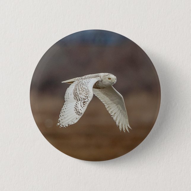 Badge Rond 5 Cm Chouette neige en vol (Devant)