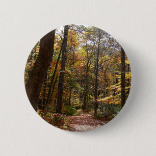 Badge Rond 5 Cm Chute Sunlit dans le parc national de Laurel Hill