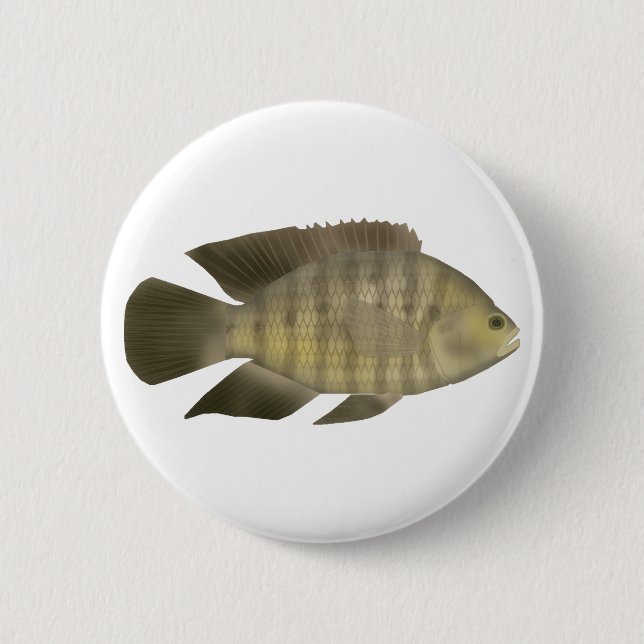 Badge Rond 5 Cm Cichlidé caméléon (Devant)