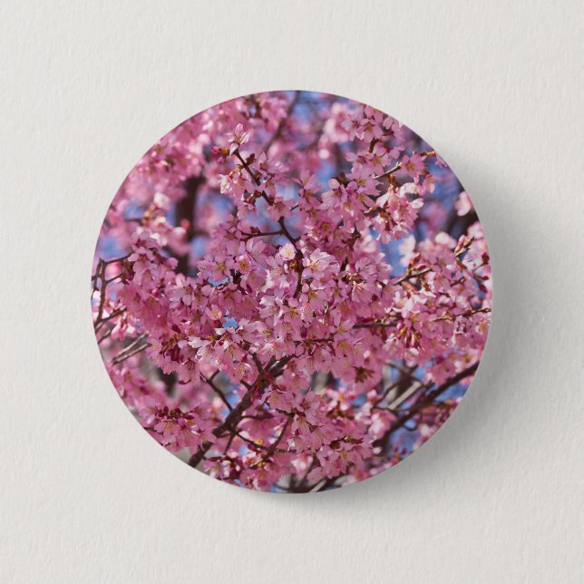 Badge Rond 5 Cm Ciel Rose de Cerisier Sakura (Devant)