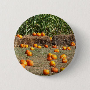 Badge Rond 5 Cm Citrouilles, maïs et foin Photographie de la récol