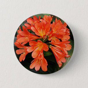 Badge Rond 5 Cm Clivia Miniata - La Belle Fleur Orange