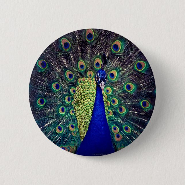 Badge Rond 5 Cm Cobalt Blue Peacock (Devant)