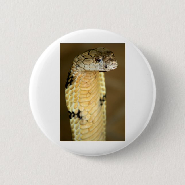 Badge Rond 5 Cm cobra de roi (Devant)