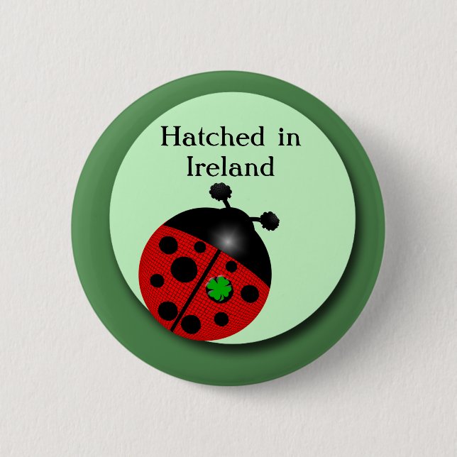 Badge Rond 5 Cm Coccinelle irlandaise (Devant)
