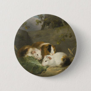 Badge Rond 5 Cm Cochons d'Inde (par George Morland)