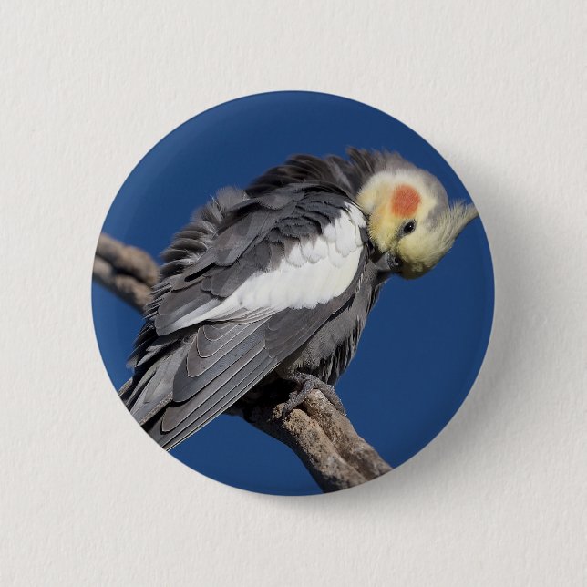 Badge Rond 5 Cm Cockatiel (Devant)