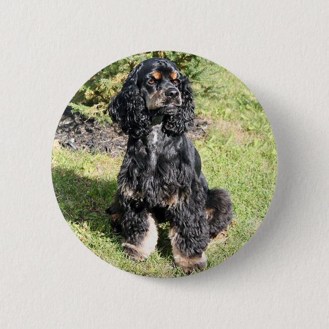 Badge Rond 5 Cm Cocker Spaniel Photo (Devant)