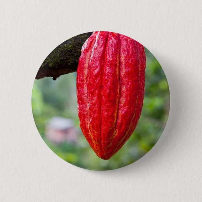 Badge Rond 5 Cm cocod (Devant)
