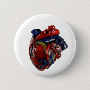 Badge Rond 5 Cm Coeur anatomique