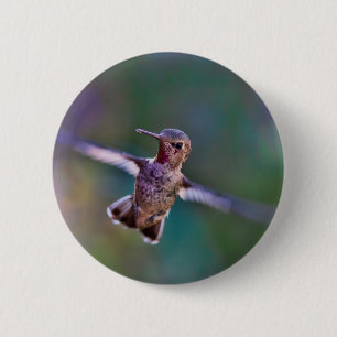 Badge Rond 5 Cm Colibri