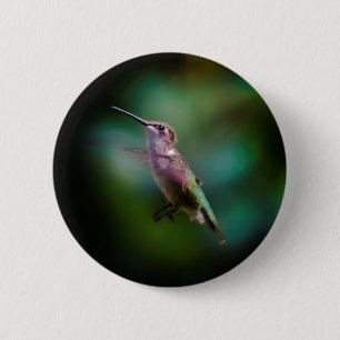 Badge Rond 5 Cm Colibri à gorge rubis - Photo originale