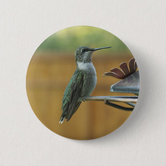 Badge Rond 5 Cm Colibri Ruby Throsé