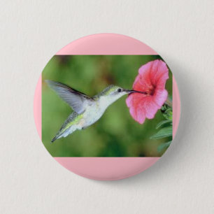 Badge Rond 5 Cm Colibri sur un bouton rond