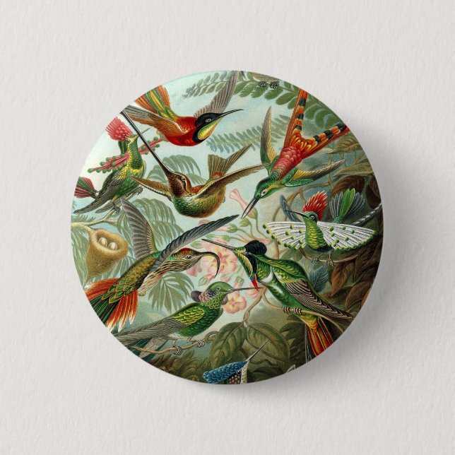 Badge Rond 5 Cm Colibri (Trochilidae) par Haeckel Button (Devant)