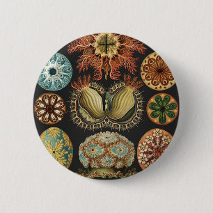 Badge Rond 5 Cm Collage d'art de la vie marine nautique d'Ernst Ha