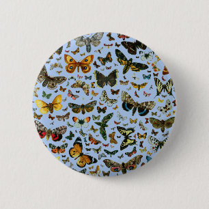 Badge Rond 5 Cm Collage des papillons de nuit et des papillons de