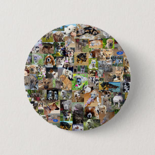 Badge Rond 5 Cm Collage photo de chien,