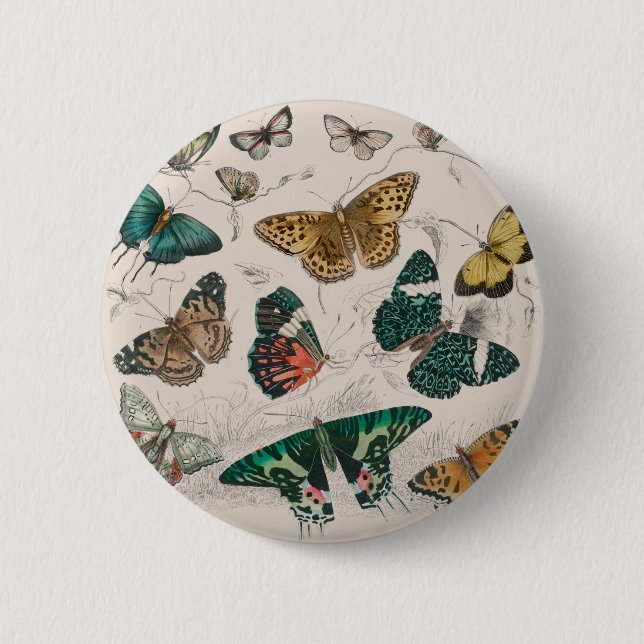 Badge Rond 5 Cm collection de papillons antique art aquarelle papi (Devant)