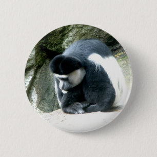 Badge Rond 5 Cm Colobus