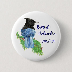 Badge Rond 5 Cm Colombie-Britannique Canada Aquarelle Stellar Jay