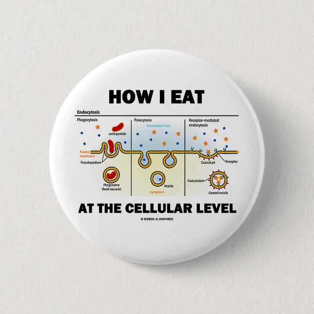 Badge Rond 5 Cm Comment je mange au niveau cellulaire (Devant)
