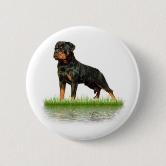 Badge Rond 5 Cm Comte Antonii de Pasha