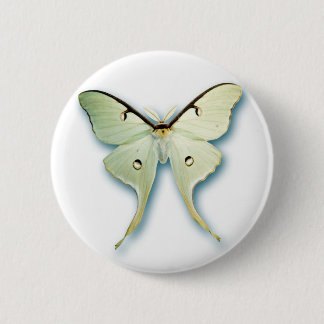 Badge Rond 5 Cm Conception assez blanche de papillon