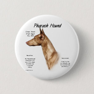 Badge Rond 5 Cm Conception de l'histoire de la peau du pharaon