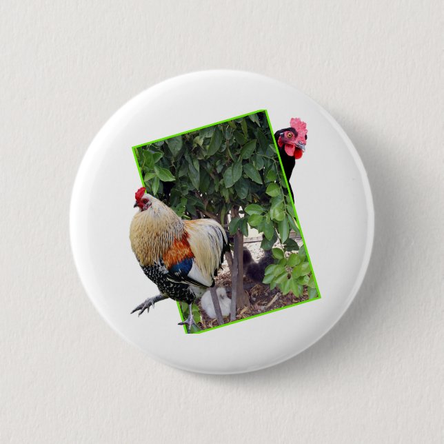 Badge Rond 5 Cm Conception de Poulet Peekaboo, (Devant)