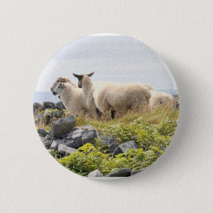 Badge Rond 5 Cm Conceptions originales - Moutons dans un champ