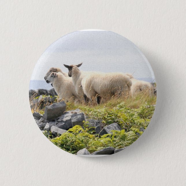 Badge Rond 5 Cm Conceptions originales - Moutons dans un champ (Devant)