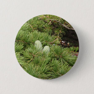 Badge Rond 5 Cm Cônes de pin