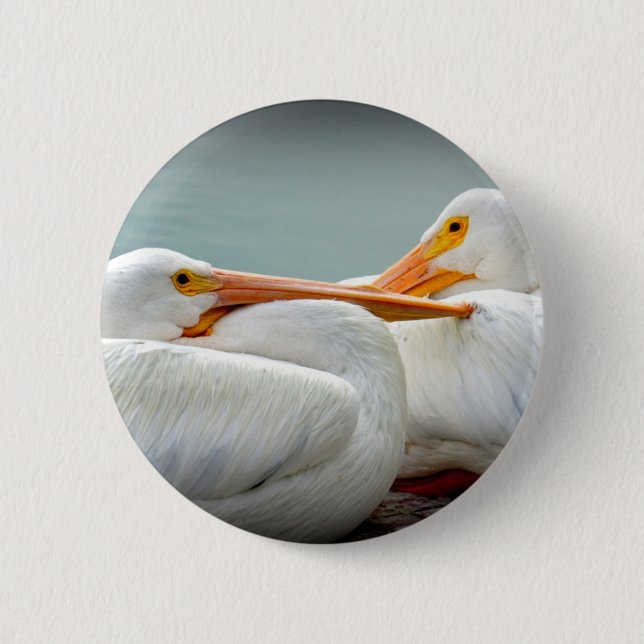 Badge Rond 5 Cm Confortablement pélicans (Devant)