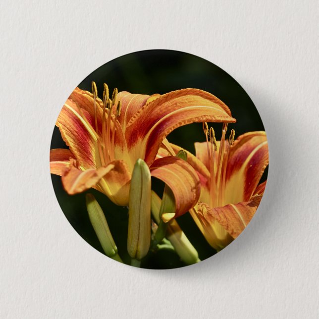 Badge Rond 5 Cm Considérons Les Lilies Du Terrain (Devant)
