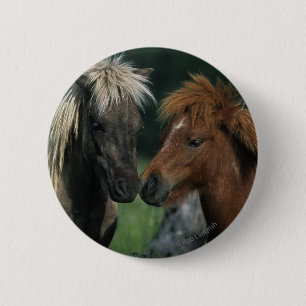 Badge Rond 5 Cm Contact miniature de chevaux