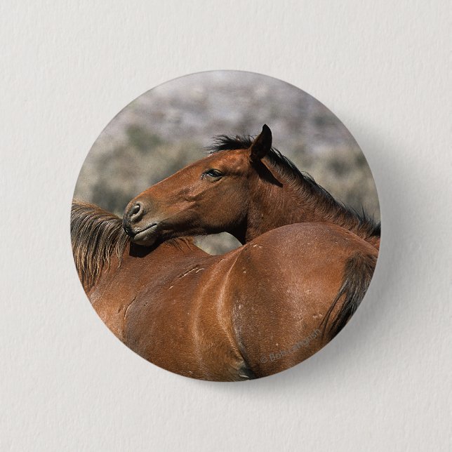 Badge Rond 5 Cm Contact sauvage de chevaux de mustang (Devant)