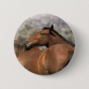 Badge Rond 5 Cm Contact sauvage de chevaux de mustang